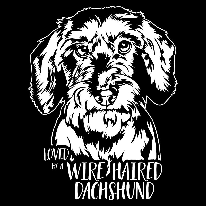 Aimé par un teckel à poil dur chiens Wilsigns
