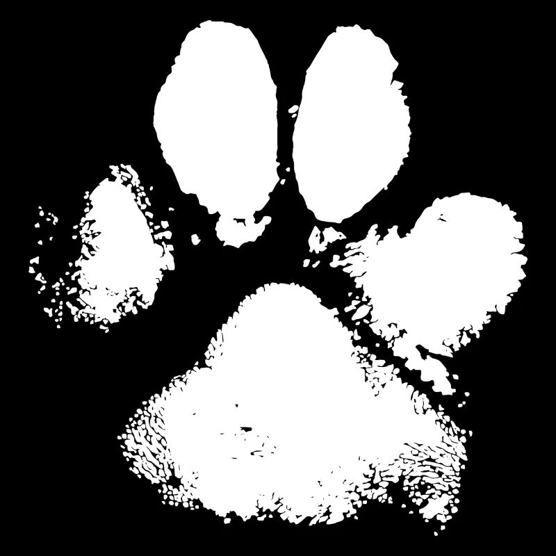 Chien Tate Empreinte de pattes