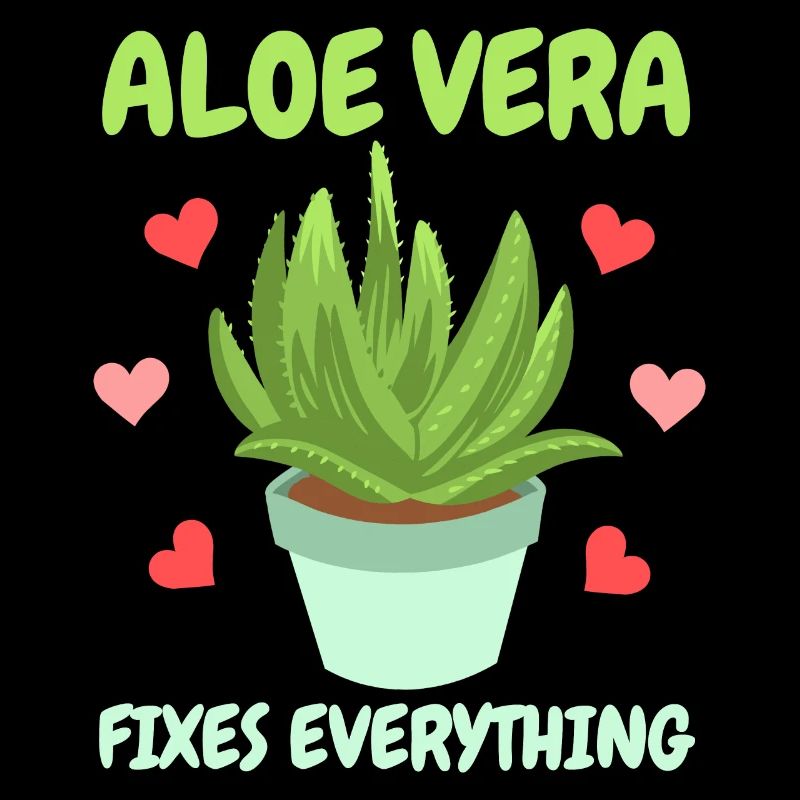 Aloe Vera Sukkulente