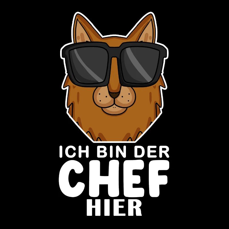 coole Katze - Somali Katze Spruch