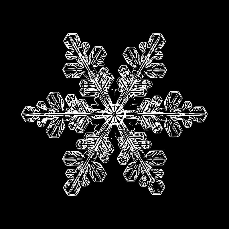 snowflake 6 white