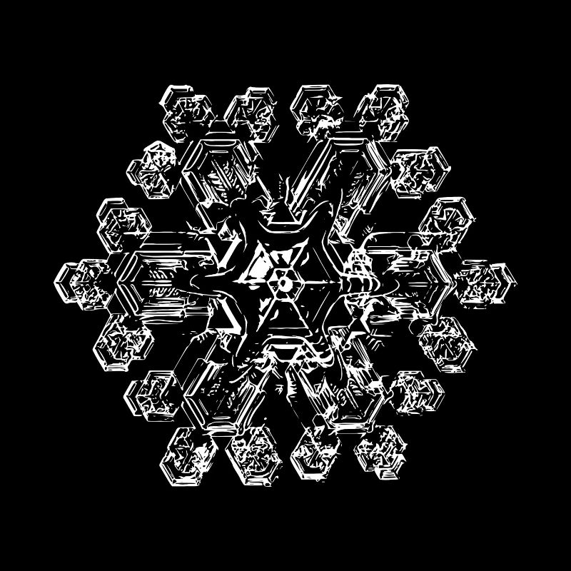 snowflake 9 white