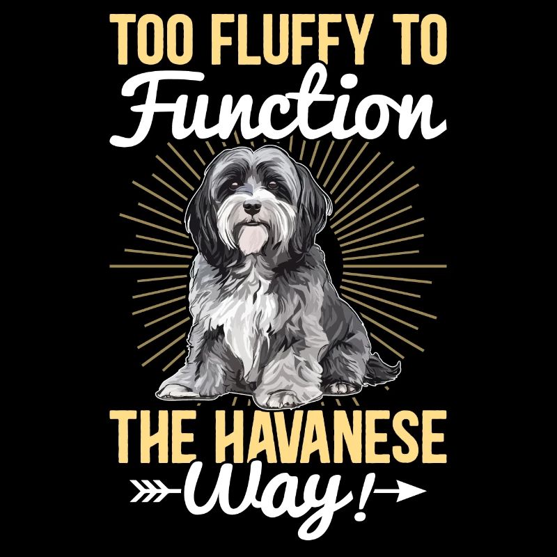 Too fluffy to function the Havanese way