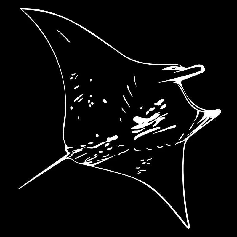 Manta Ray