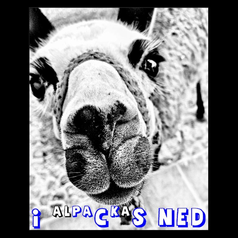 ALPACA, i packs ned, I don't pack that, puns