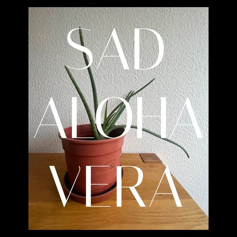 SAV-FFFFFF SAD ALOHA VERA