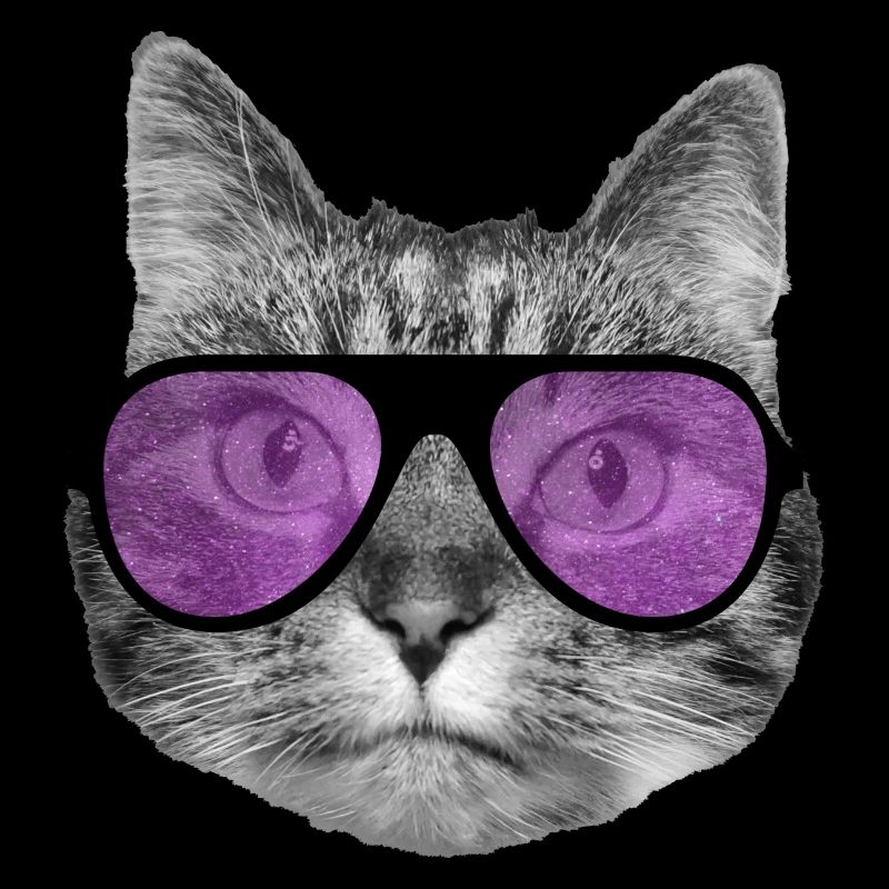Cat wearing cool pink sunglasses