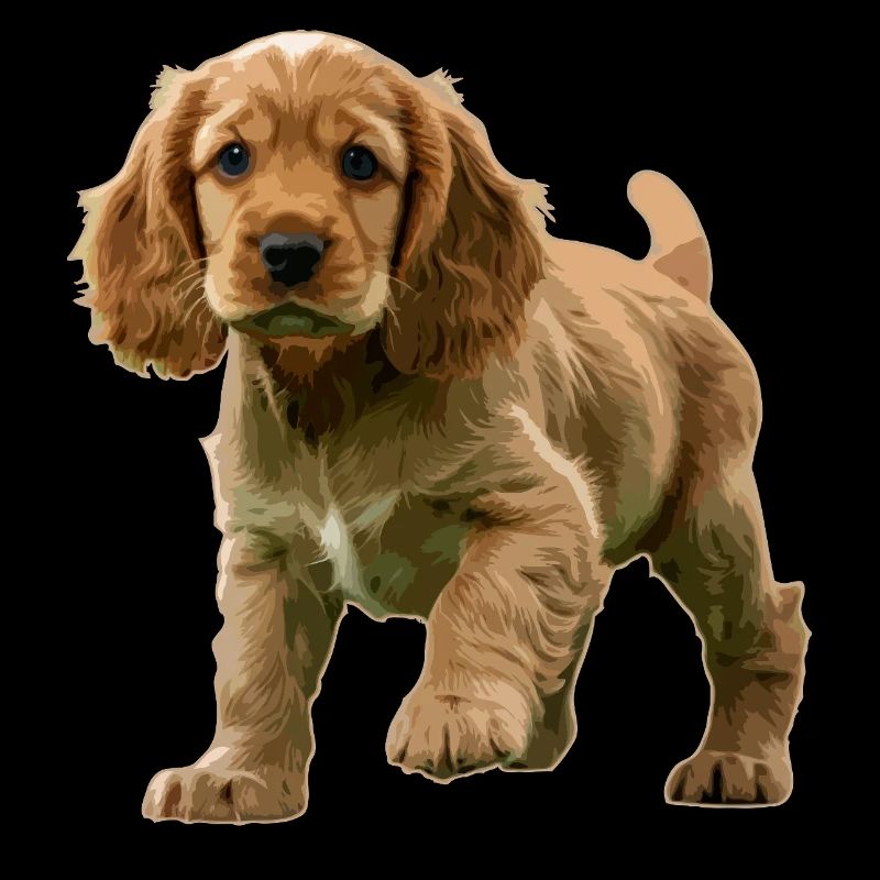Cocker Spaniel Welpe