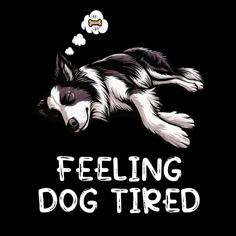 Propriétaire de Border Collie Collie fatigué