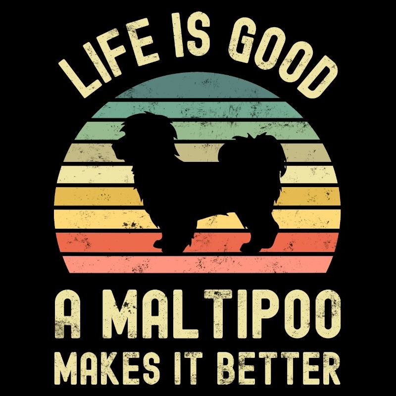 Chien Maltipoo