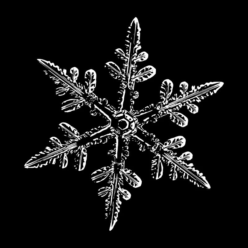 snowflake 8 white