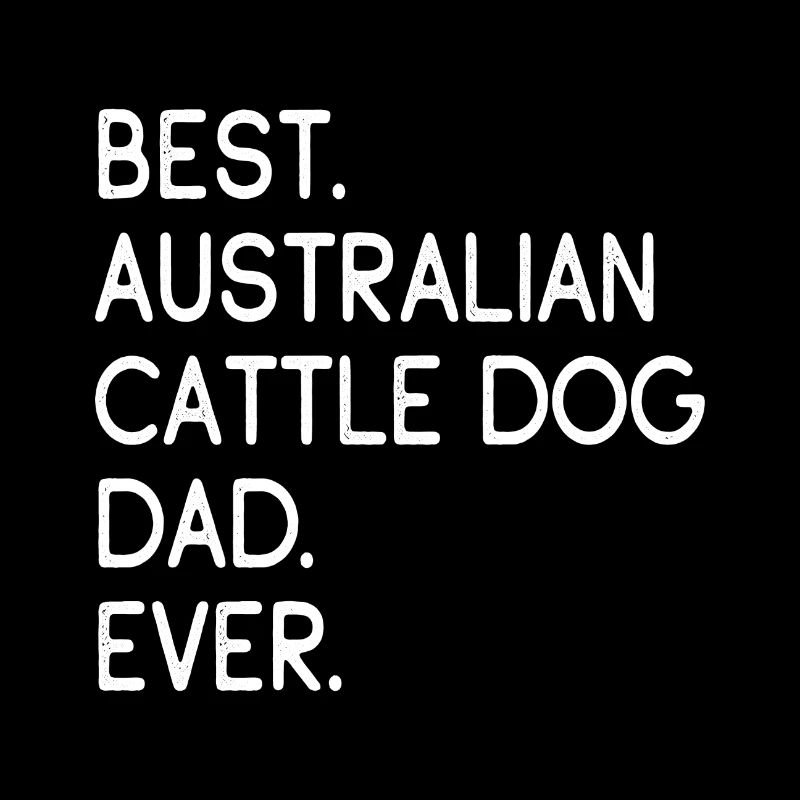 Bouvier australien chien
