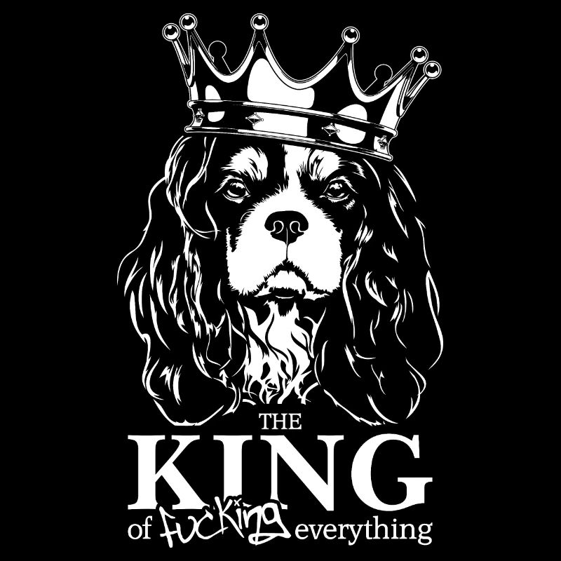 CAVALIER KING CHARLES SPANIEL King Hunde Wilsigns