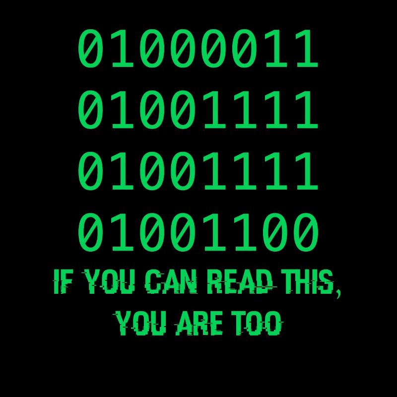 Computer Binary Code Developers Gift