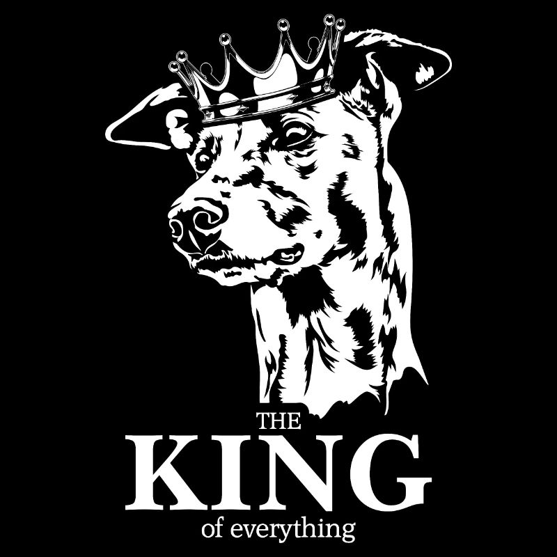 Greyhound King of everything Hundespruch Wilsigns