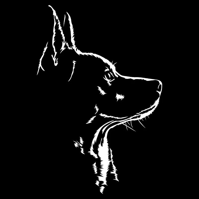 Bouvier australien chien chien chiens Wilsigns