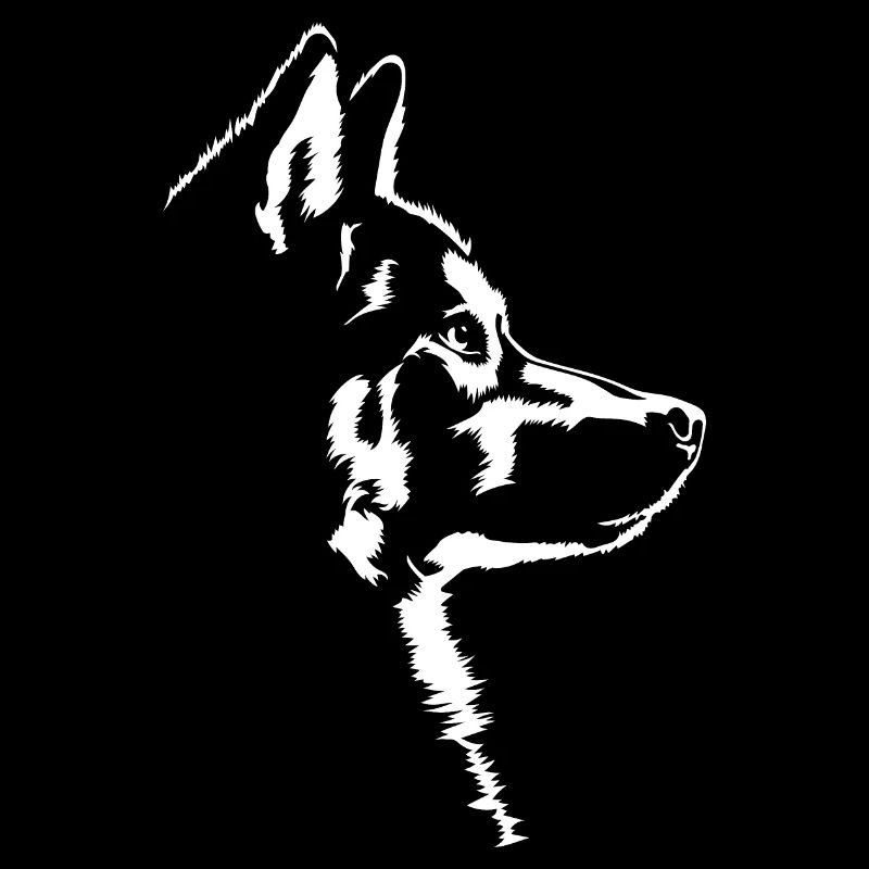 Husky Hunde Hund Siberian Husky Wilsigns