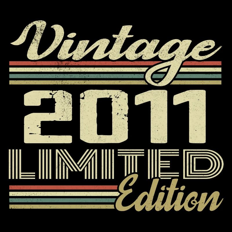 Anniversary 13 Years Vintage 2011 Gift 2011
