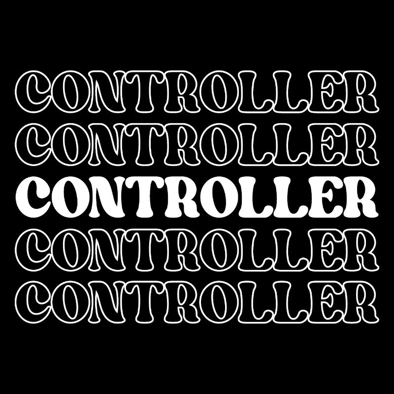 Controller Accountant Auditor Chief Financial