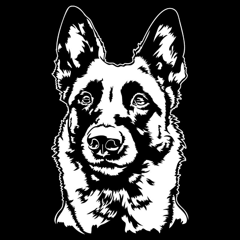 Belgian Malinois Portrait Hund Hunde Wilsigns