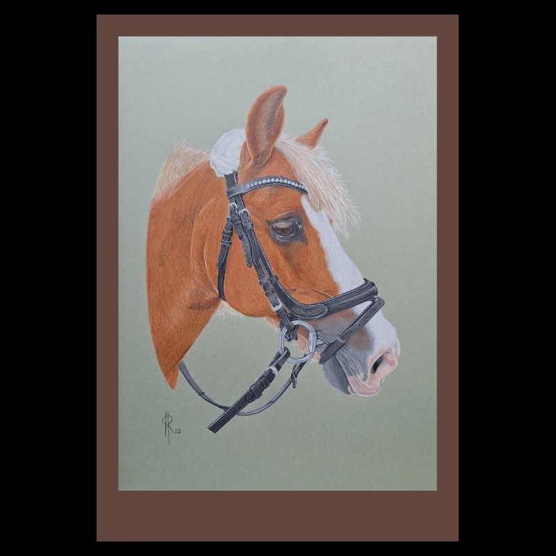 Portrait de cheval avec bride d’équitation
