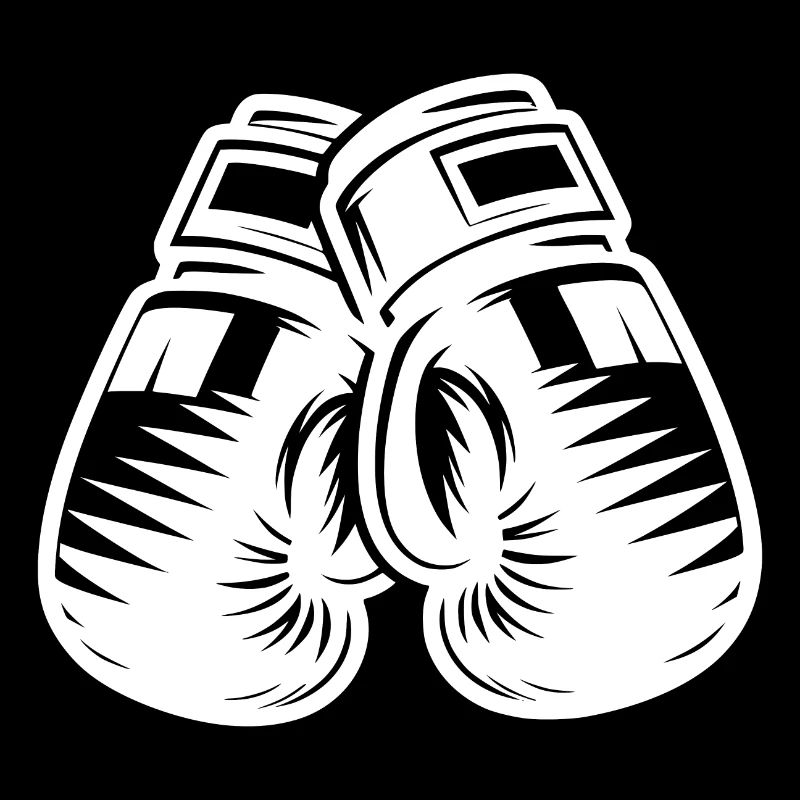 Gants de boxe pour le kickboxing et les arts martiaux de boxe