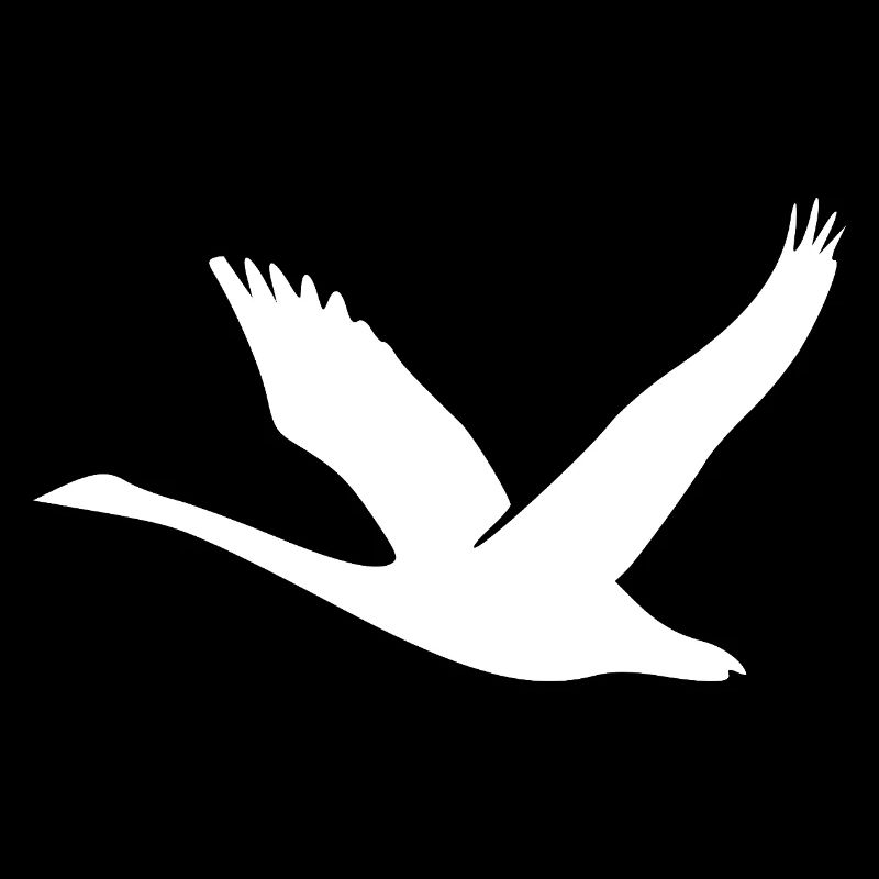 Cygne volant avec des ailes