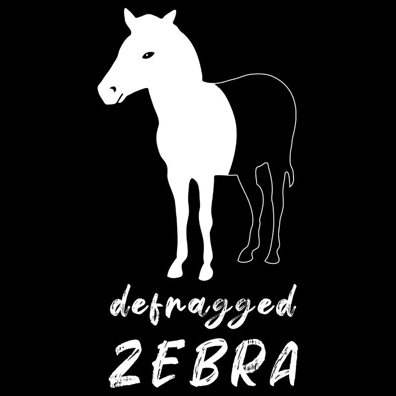 Defragged Zebra Computer Scientist Admin Geek Gift
