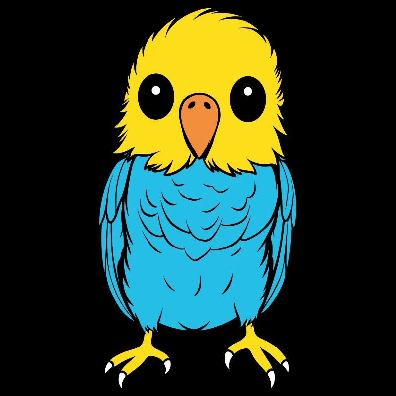 Cute little parakeet