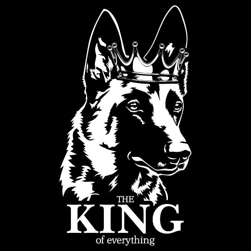 Malinois Roi de tout Dire Chiens Wilsigns