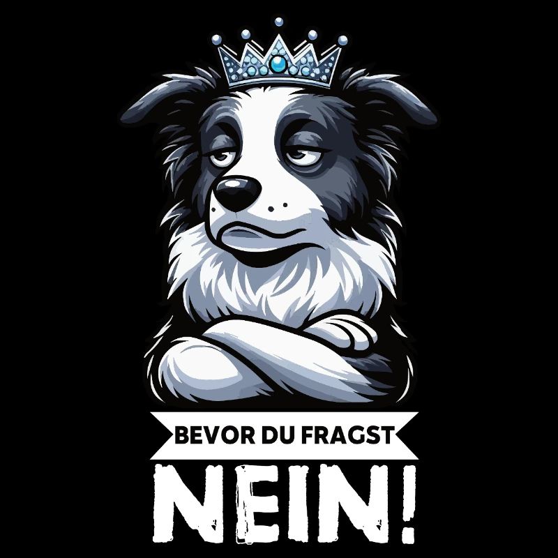 Before you ask: Border Collie, Herding Dog, Collie Dog
