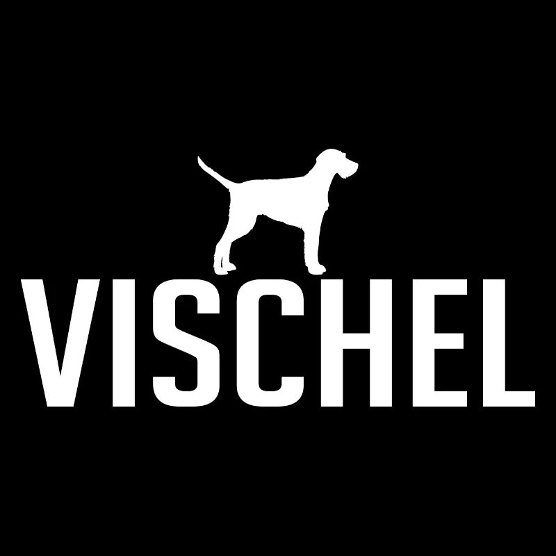 Vischel Drahthaar Vizsla Hunderasse Hunde Wilsigns