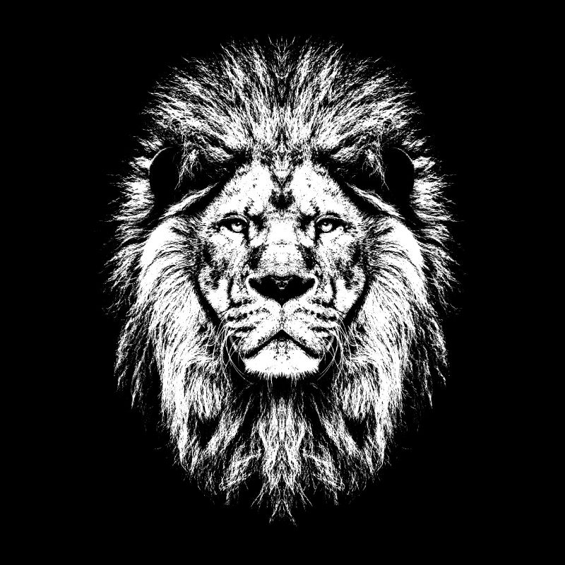 Löwenkopf / Lion's Head