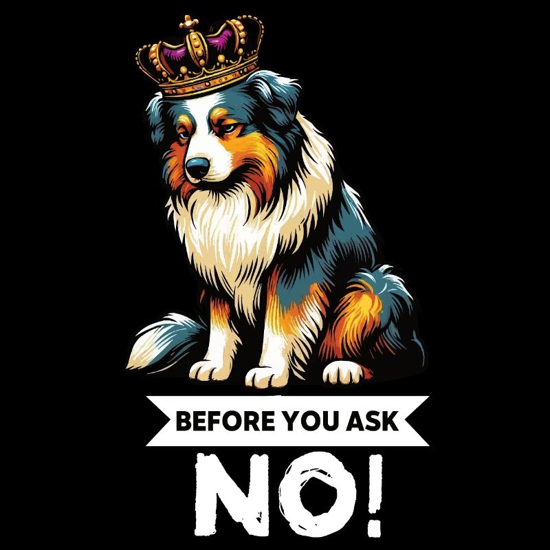 Avant de demander aux Australian Shepherds Aussie Aussies