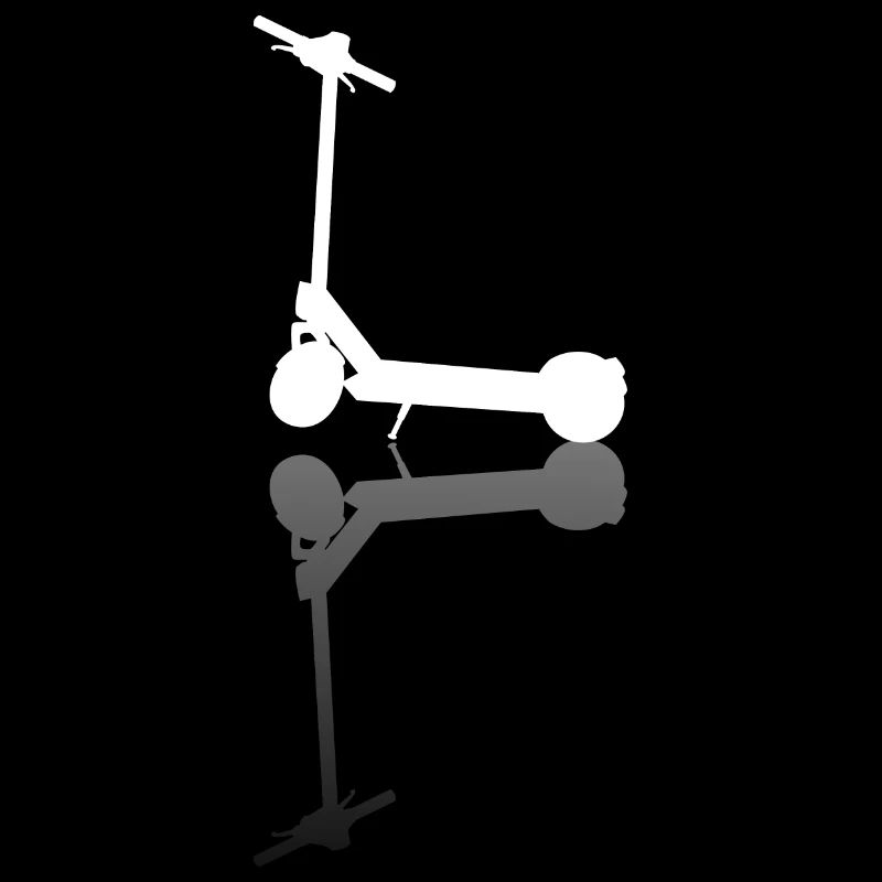 E Scooter Elektro Roller