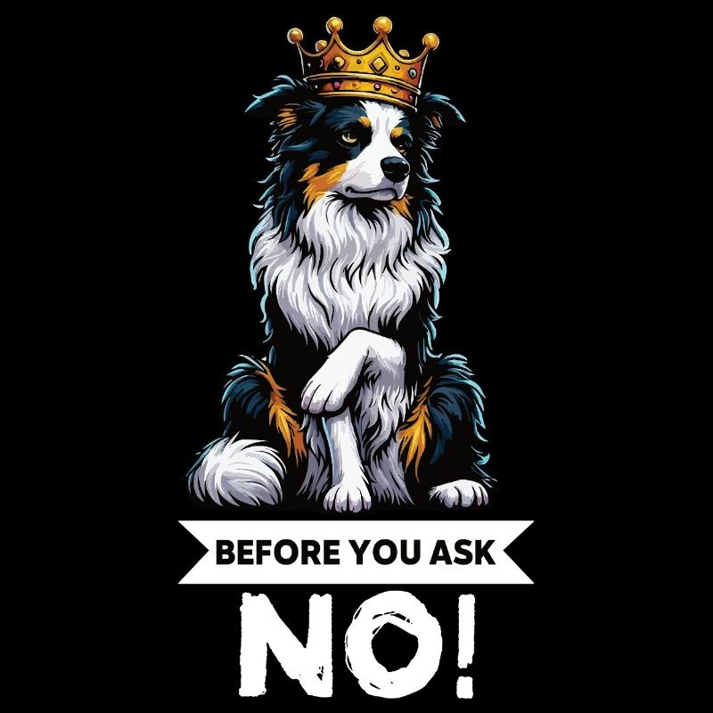 Before You Ask Australian Shepherd Aussie Aussies