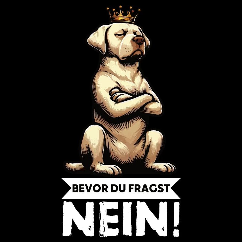 Avant que vous ne demandiez : pas de propriétaire de Labrador Labrador
