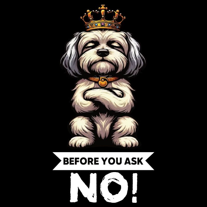 Before You Ask Havanese Havanese Keepers Havanese