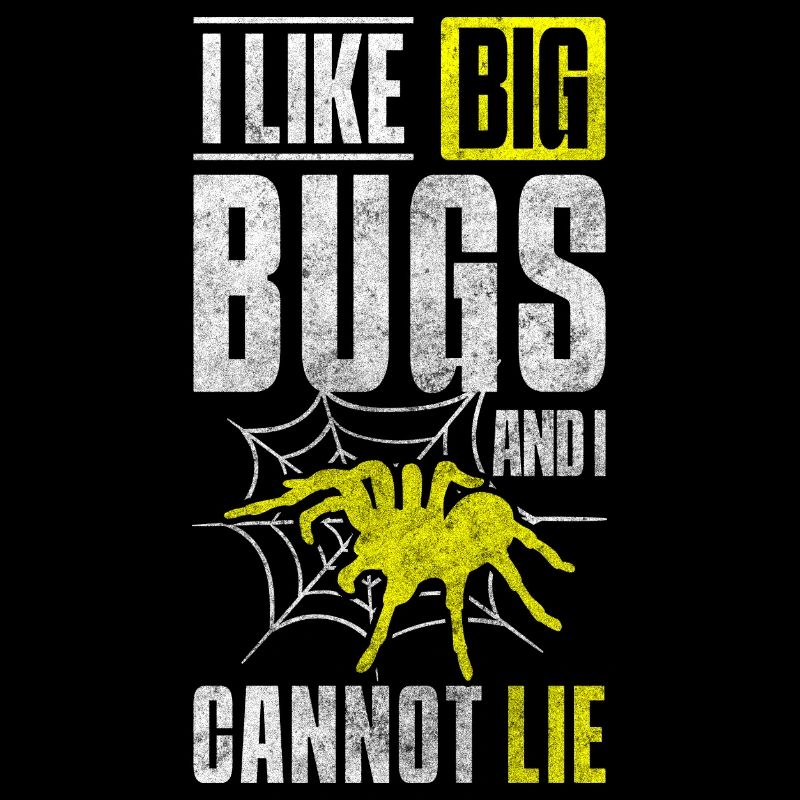 Spider Web Arachnids