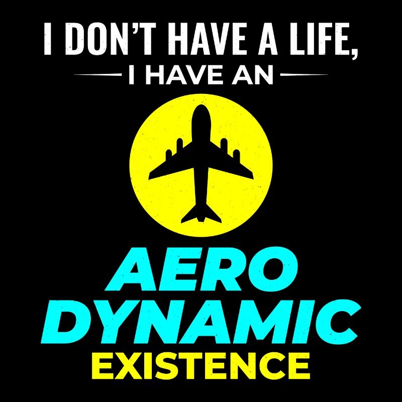 Aerospace Engineer Flight Mechanics Plane Airplane