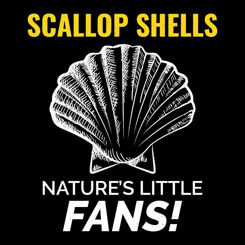 Scallop Seashells Collector Beachcomber Shellfish