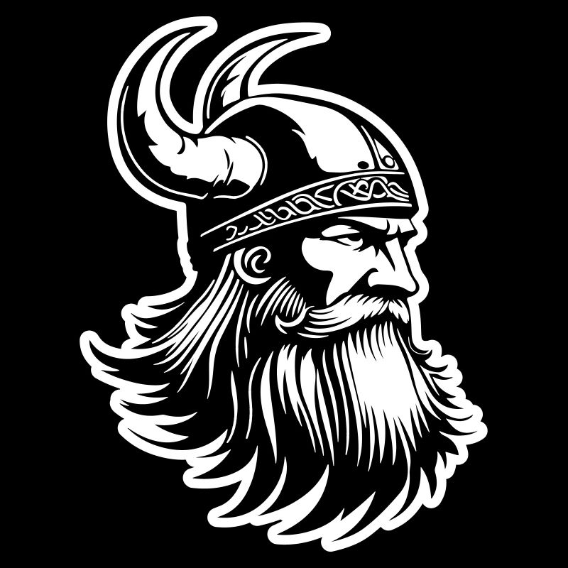 Wikinger Odin Krieger