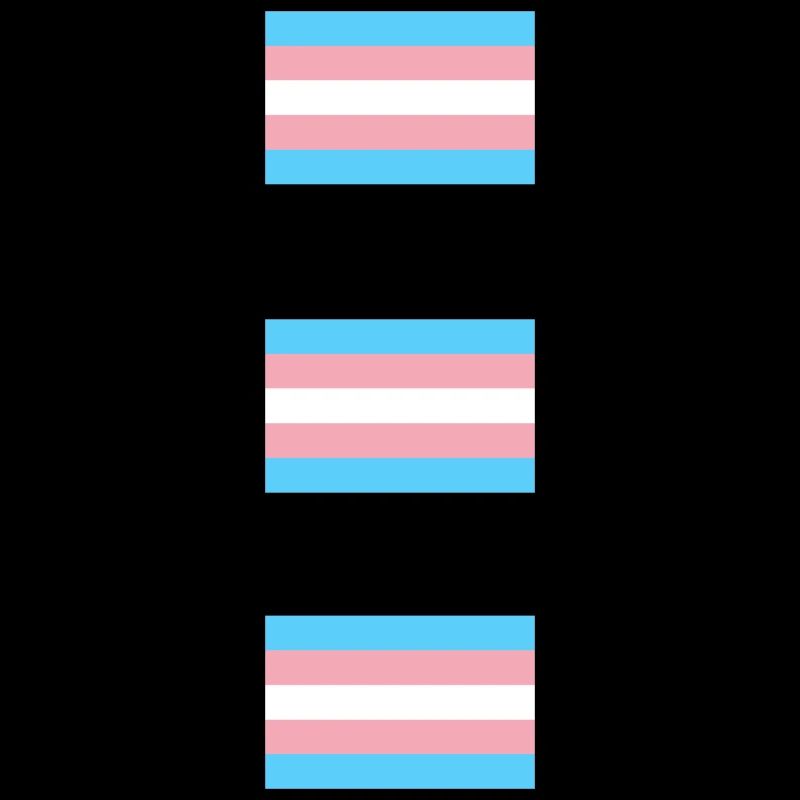 Drapeaux de la Fierté Trans