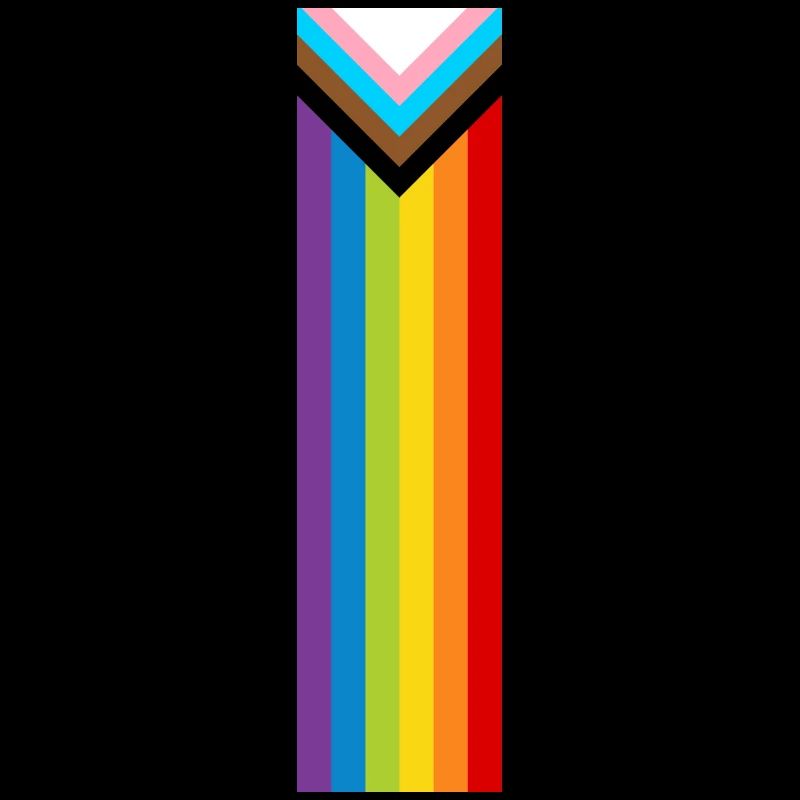 LGBTQ+ Pride Flag New Rainbow Progress Flag