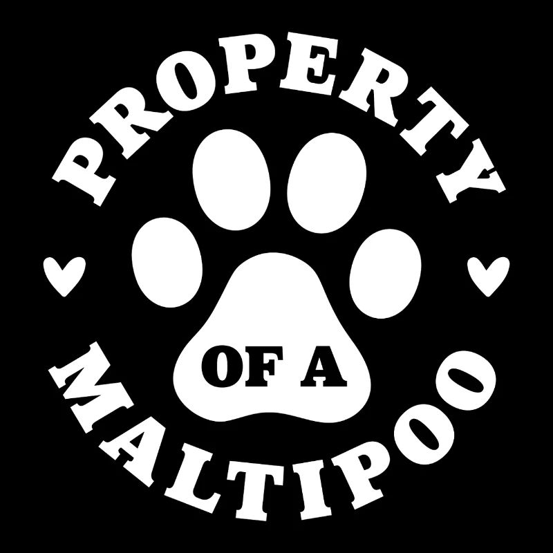 Eigentum eines Maltipoo