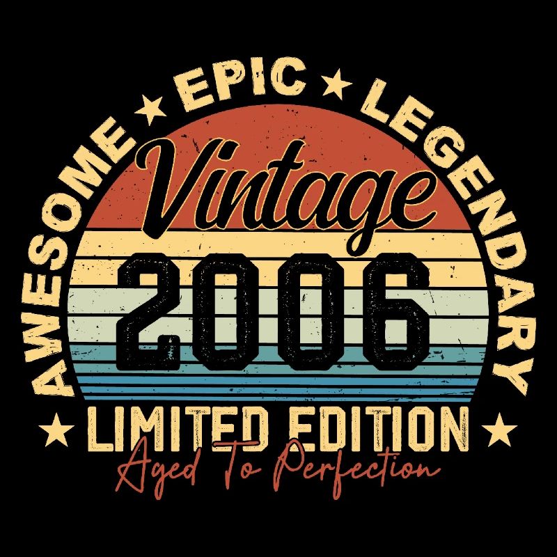 Retro 2006 Vintage Birthday 2006 Gift 2006