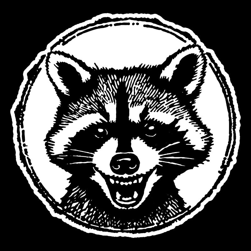 Raccoon