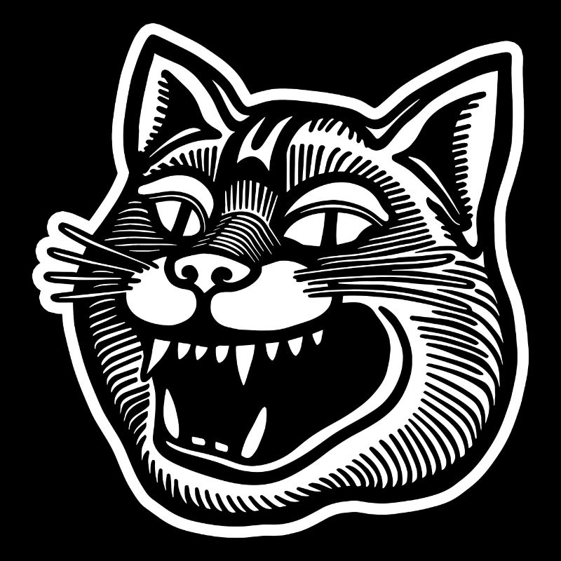 Cat Cats Cat Lady Cat Lover Cat Face