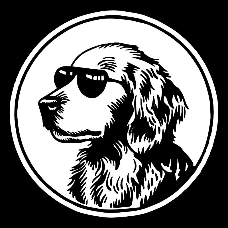 Golden Retriever Hund