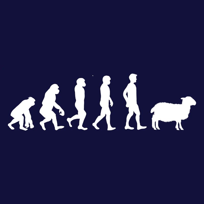 Evolution mouton